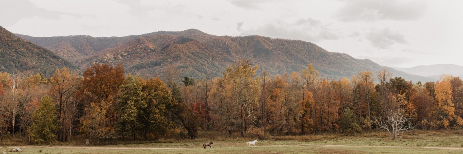 joshdurham_'s profile banner image