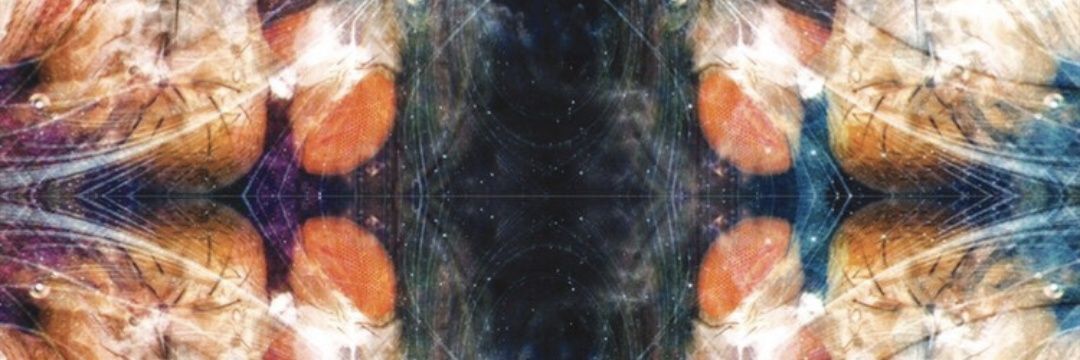 LaunCharles's profile banner image