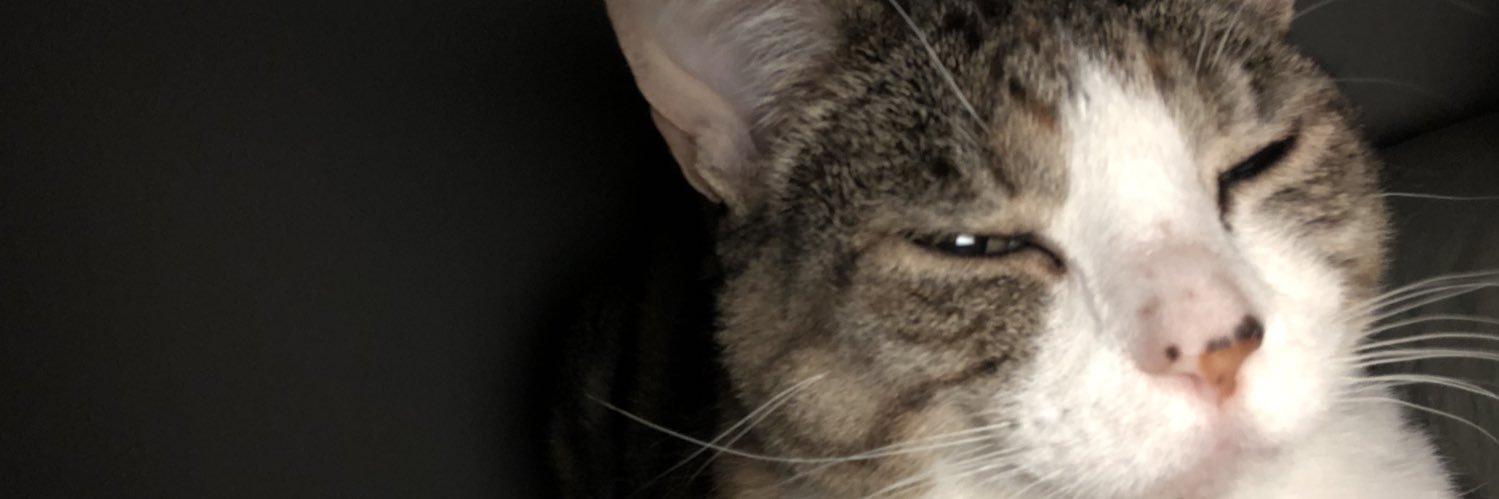 nickcagestoleit's profile banner image