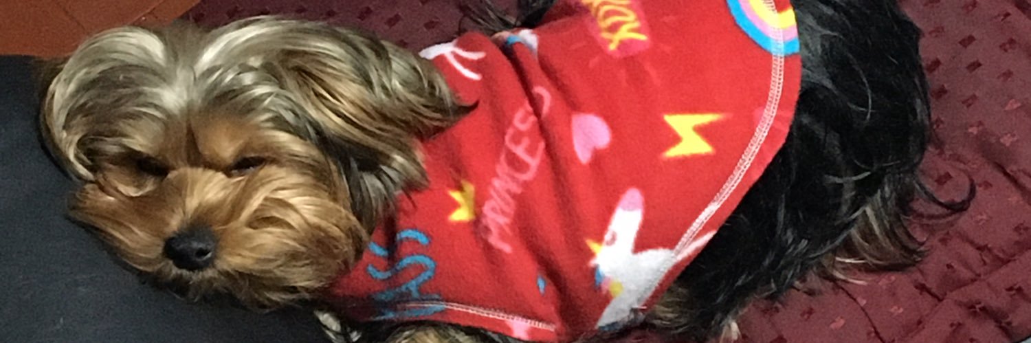csbarrese's profile banner image