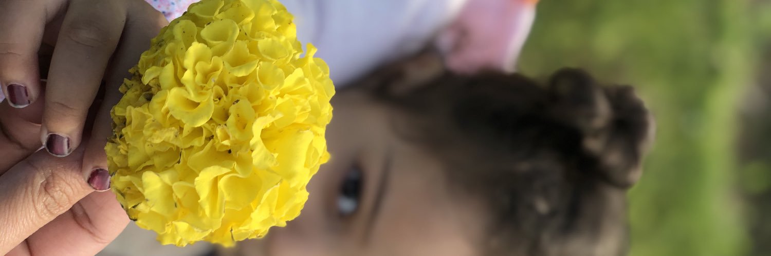 smsbbn's profile banner image