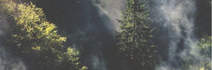 Natdymkowski's profile banner image