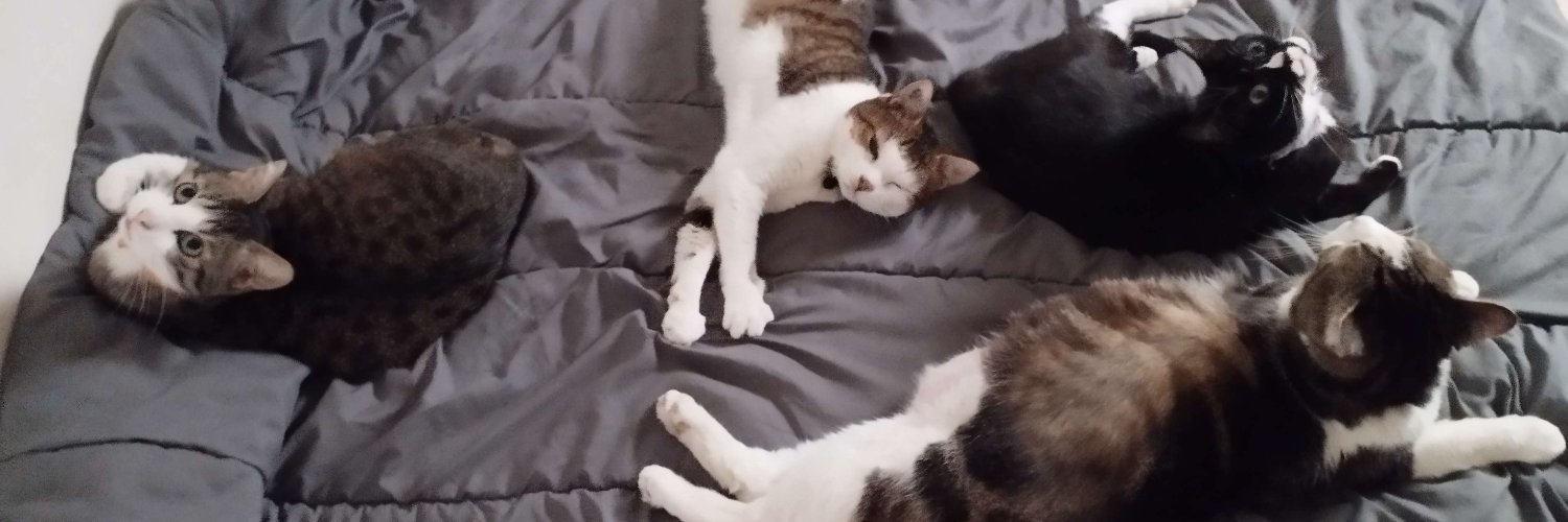 PurringBytesDev's profile banner image