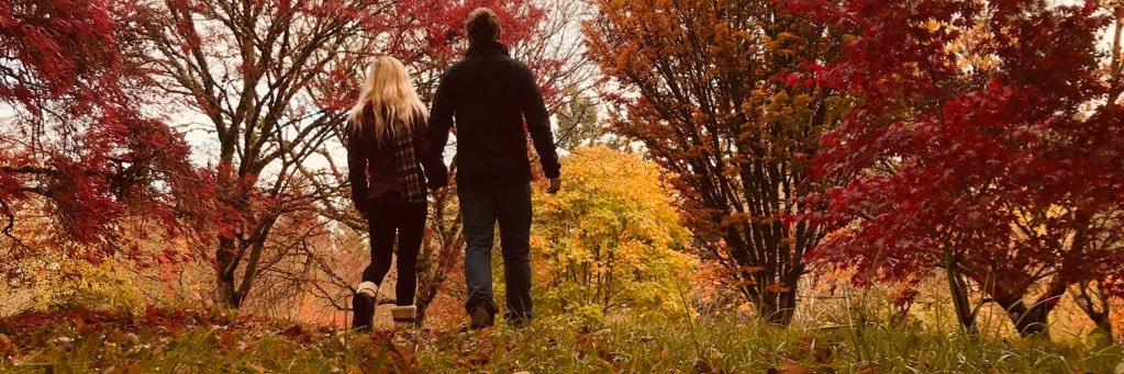_Dauber_'s profile banner image