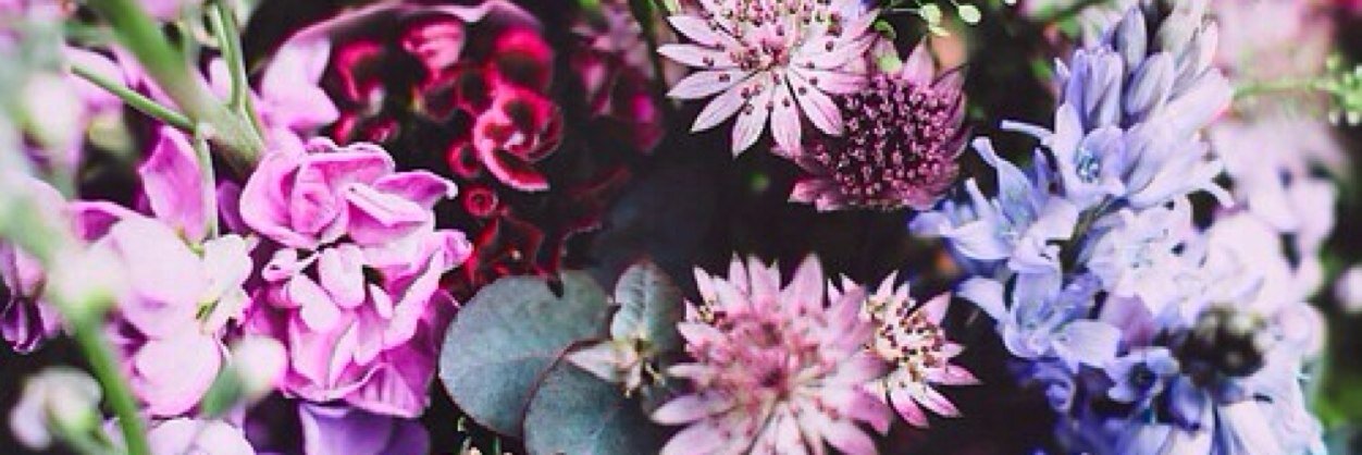 SarahHering's profile banner image