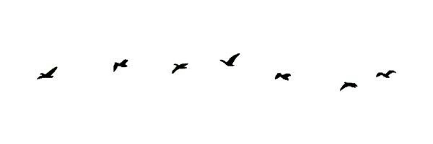 ii_sj1's profile banner image