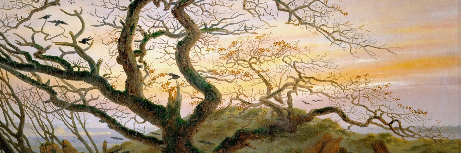 jgrevich's profile banner image