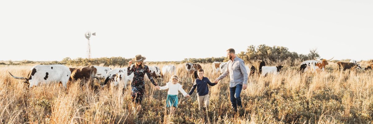 HillTaylor85's profile banner image