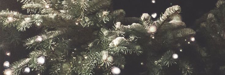 Tbeanlambo's profile banner image