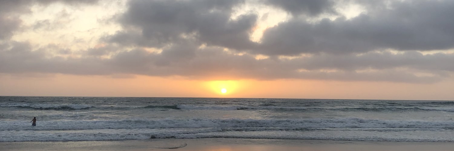 NickBeach1's profile banner image