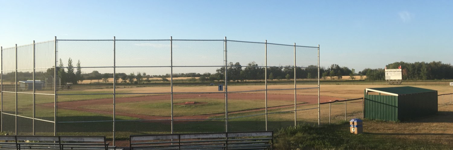 Dallas Williamson banner