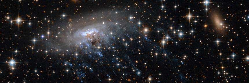 IGY REBORN !! banner