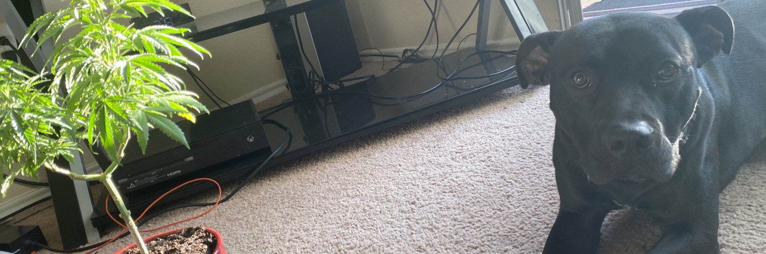 Alex__H22's profile banner image