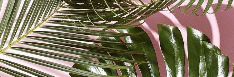 iNoSoyMaria's profile banner image