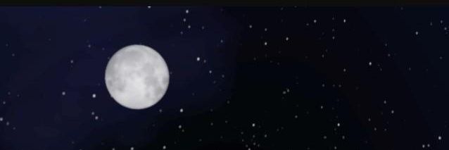 killer_muskan's profile banner image