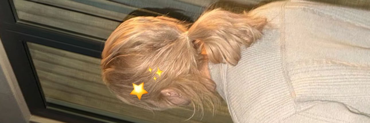 jmkkyu's profile banner image