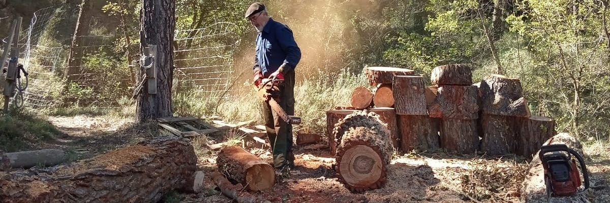 Toni LLoret Grau banner