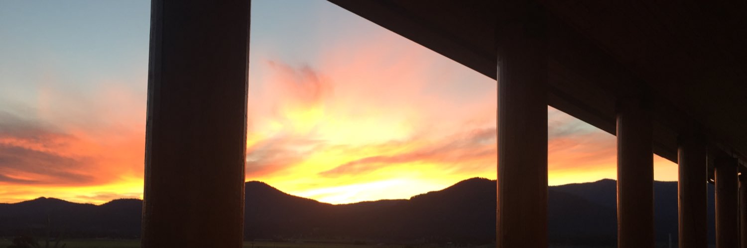 Miserable🧈Fly banner