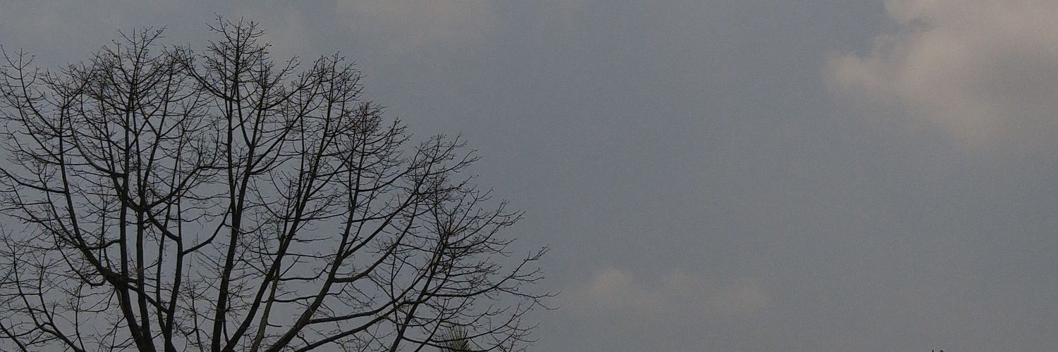 Rere | banner
