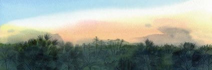 konoha422's profile banner image