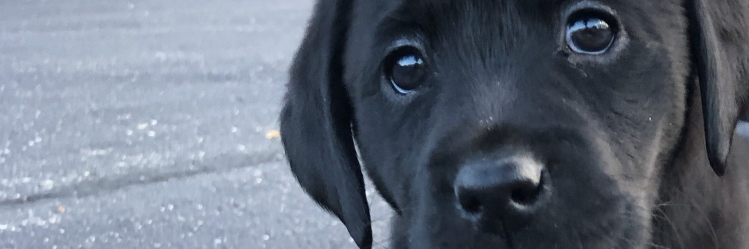 jackbergjack's profile banner image