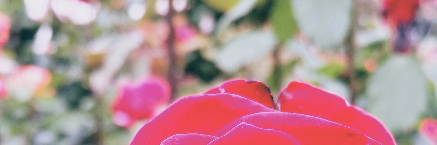 SharolynKayla's profile banner image