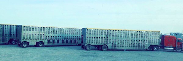 DrewBippes Profile Banner