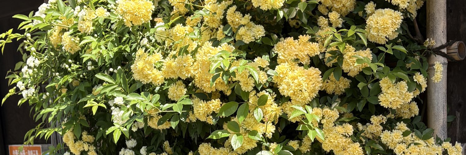 neeear__'s profile banner image