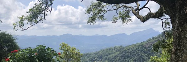 ransirini Profile Banner