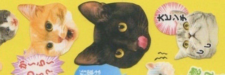 morpekoblaster's profile banner image