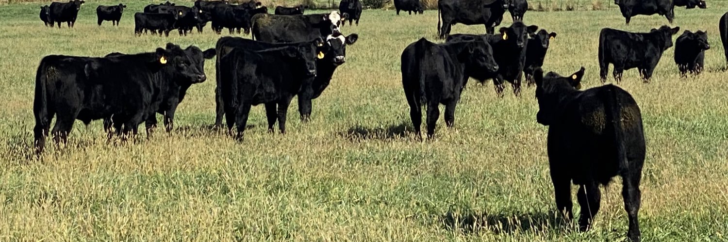 Griffin Hanberg banner