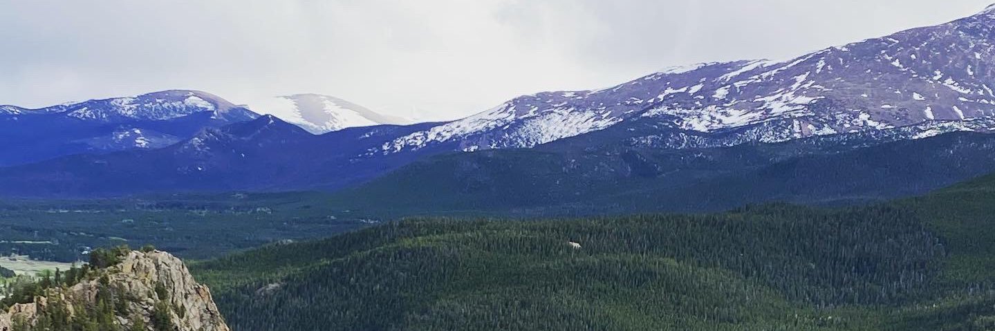 masondotjson's profile banner image