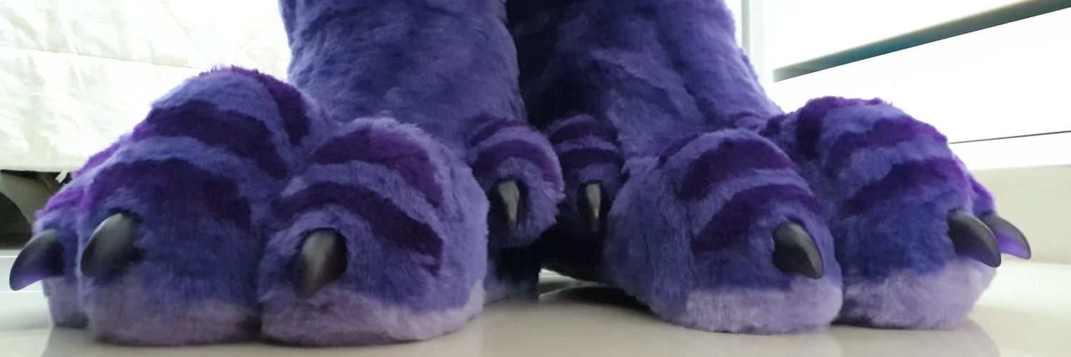 DragonSlurp's profile banner image