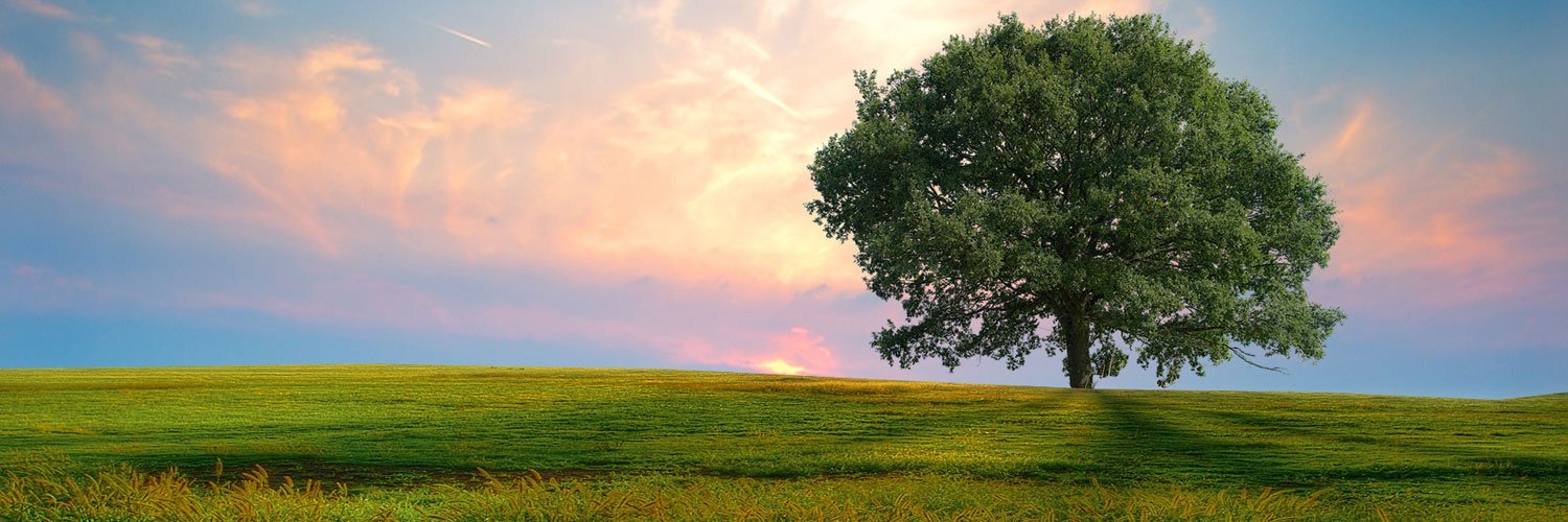 stefrv's profile banner image