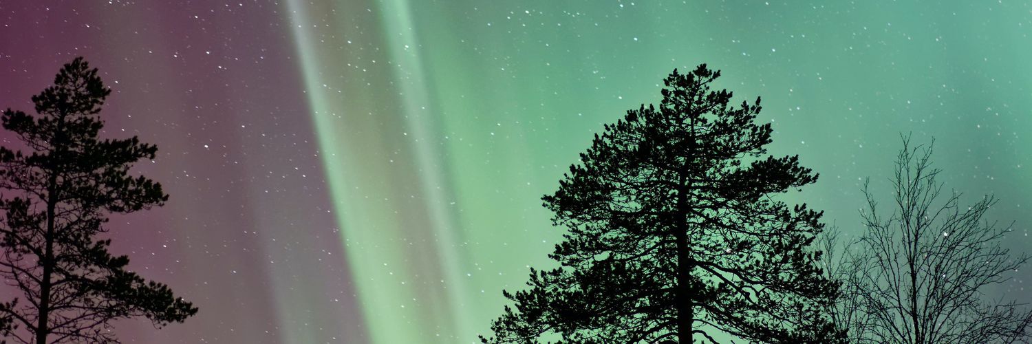 selvles's profile banner image