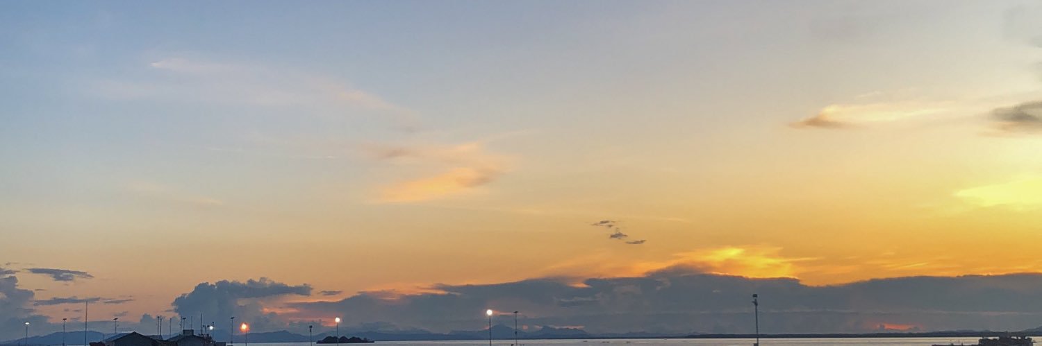 royarsnvx's profile banner image