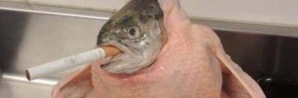 linkhartkatie's profile banner image