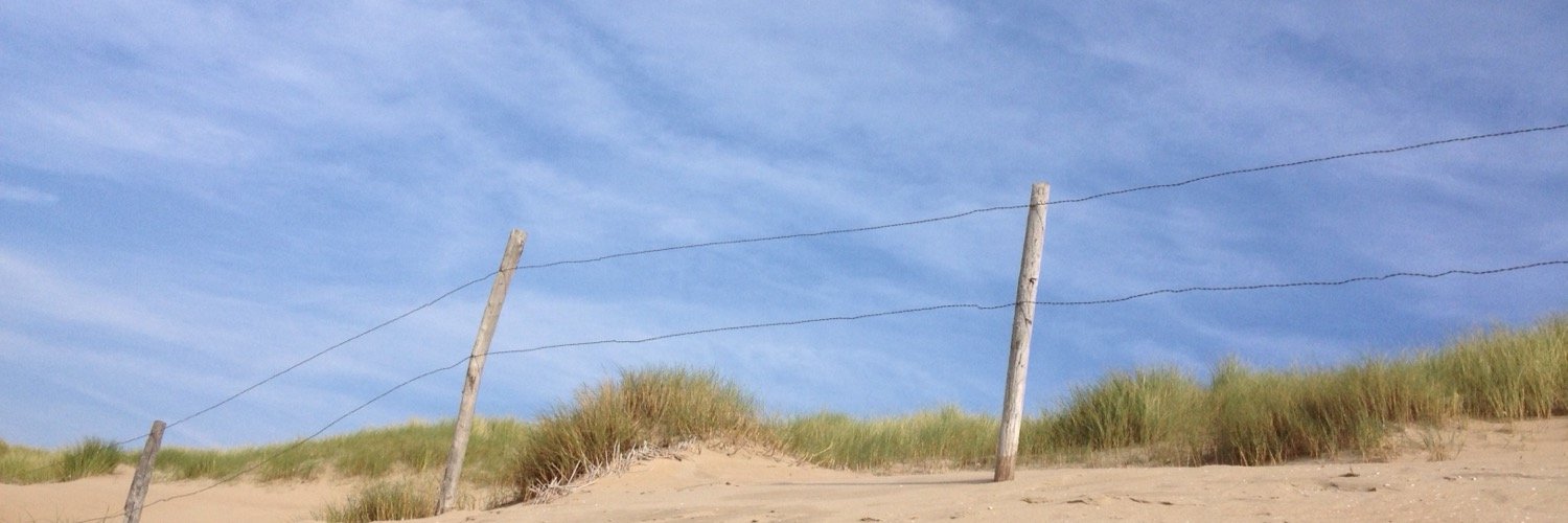 wiegervisser's profile banner image