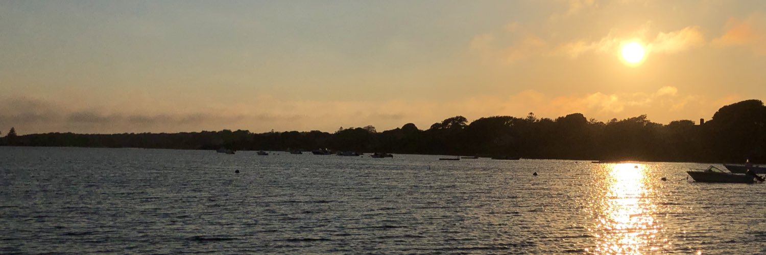 Michael Varda banner