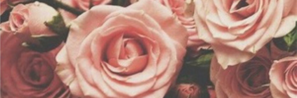 bjac34's profile banner image