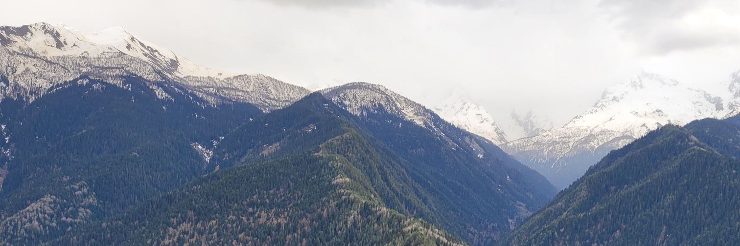 TruptiMagdum's profile banner image