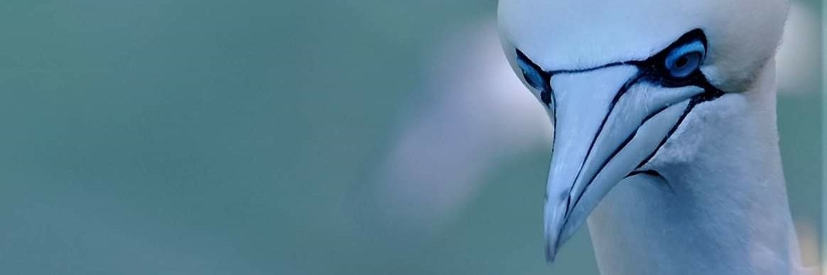 cliveahicks's profile banner image
