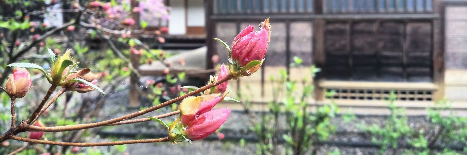 Ринрин-апельсин banner