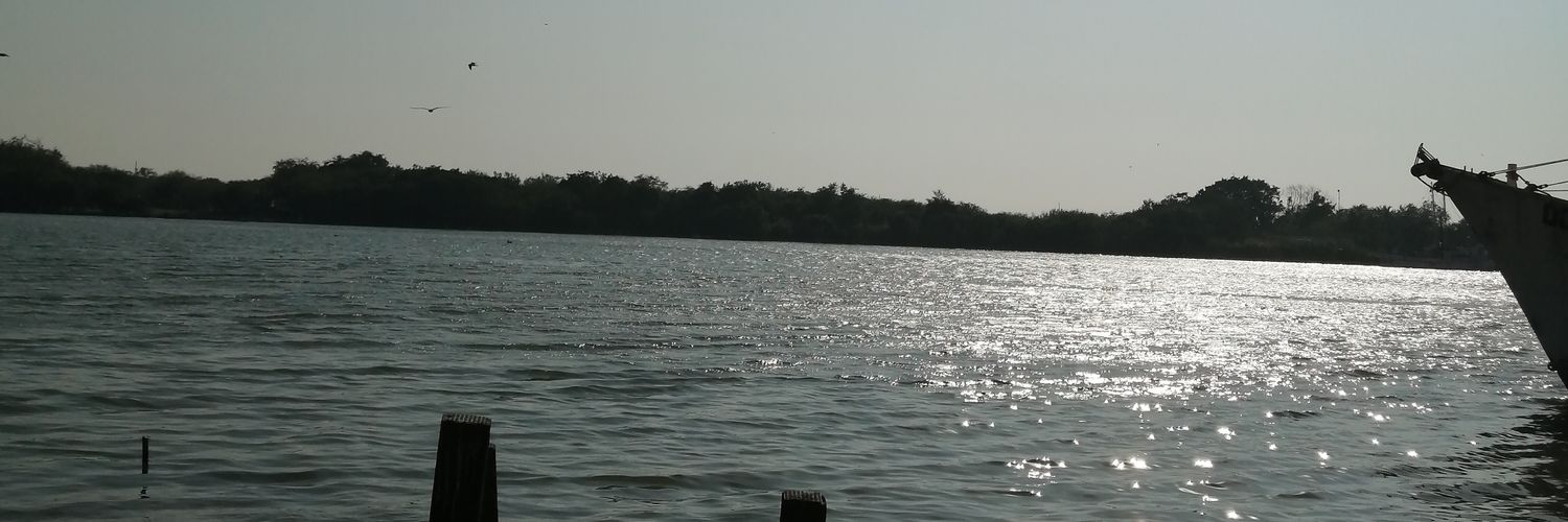 BrandonelBago's profile banner image