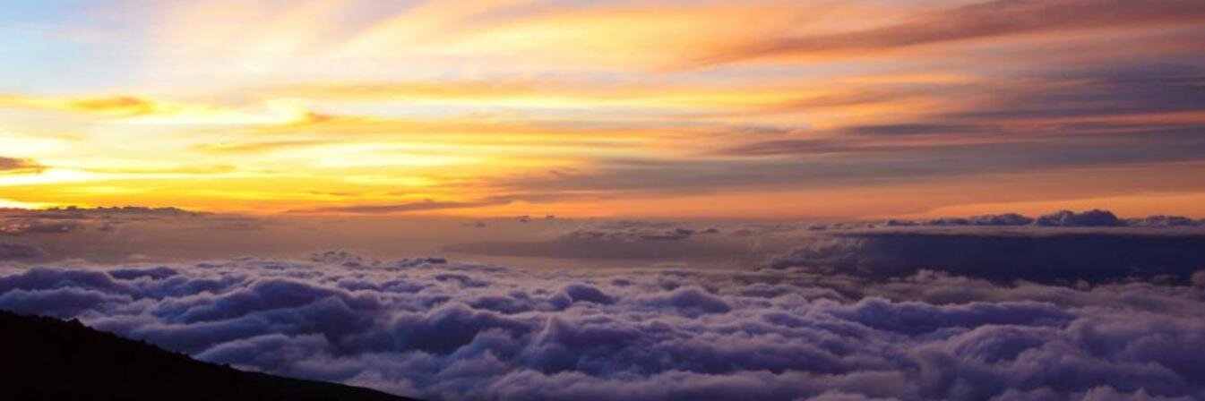 matthewhaney's profile banner image