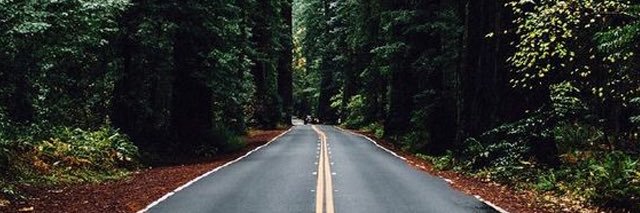 Rodrigo_w12's profile banner image