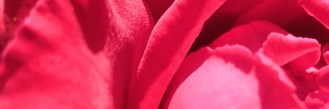 matthmorin's profile banner image