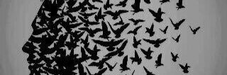 toto200020101's profile banner image