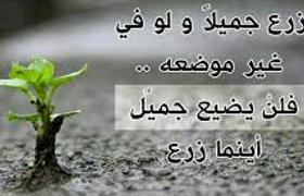 MohAlnmry's profile banner image