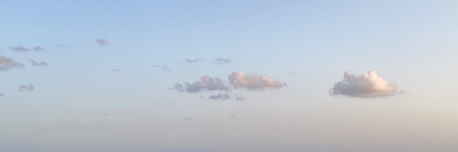 teremnn's profile banner image